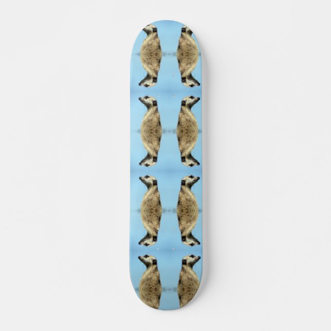 Meerkat Skateboard (Front)