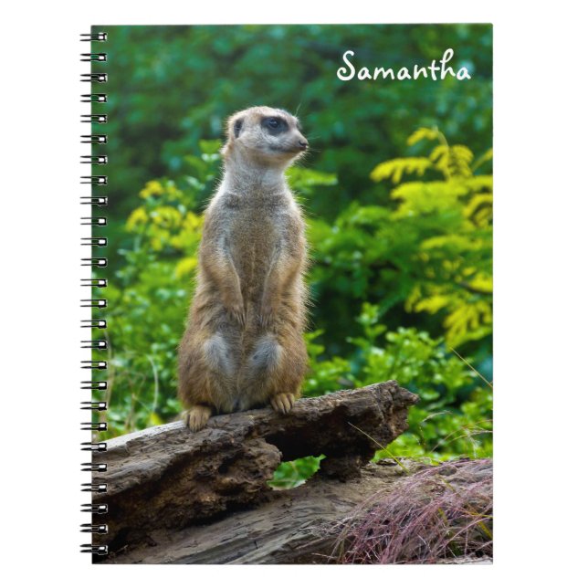 Meerkat Spiral notebook (Front)