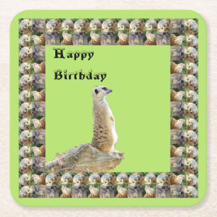 Meerkat Square Birthday Paper Coasters, Coaster