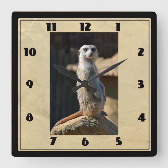 Meerkat Square Clock (Front)