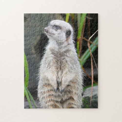 Meerkat Standing to Attention Jigsaw Puzzle