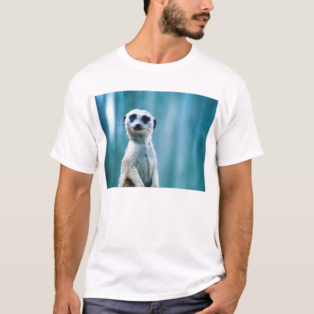 Meerkat Staredown T Shirt (Front)