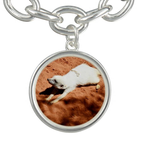 Meerkat Stretch Bracelet