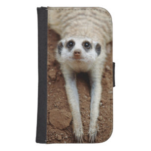 Meerkat (Suricata Suricatta) Cooling Down Phone Wallet