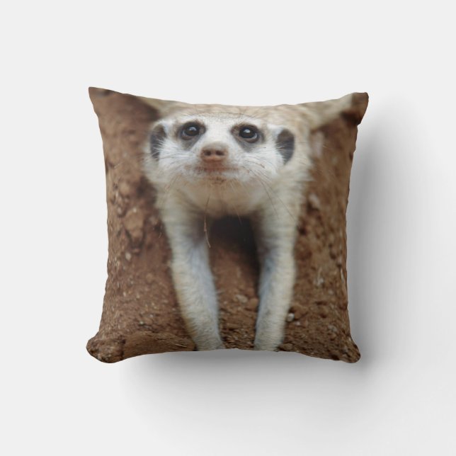 Meerkat (Suricata Suricatta) Cooling Down Throw Pillow (Front)