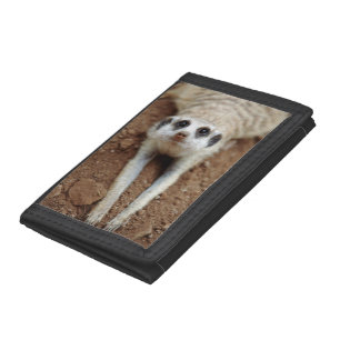 Meerkat (Suricata Suricatta) Cooling Down Trifold Wallet