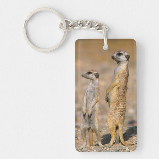 Meerkat (Suricata Suricatta) Sentinels, Karas Keychain (Front)