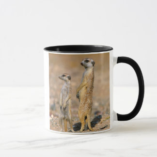 Meerkat (Suricata Suricatta) Sentinels, Karas Mug