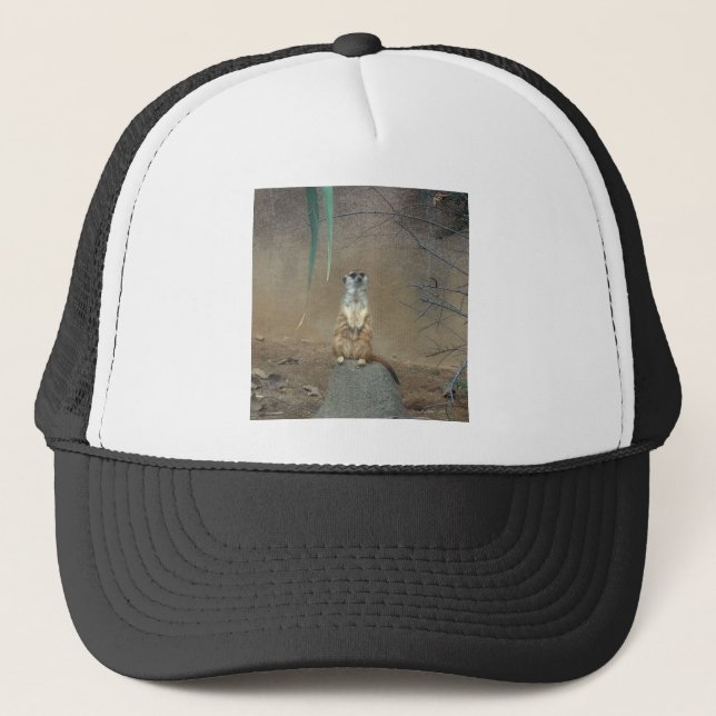 Meerkat Trucker Hat (Front)