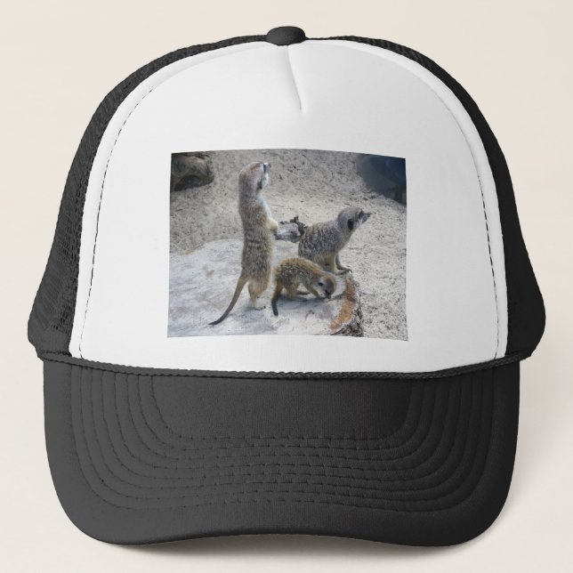 Meerkat Trucker Hat (Front)