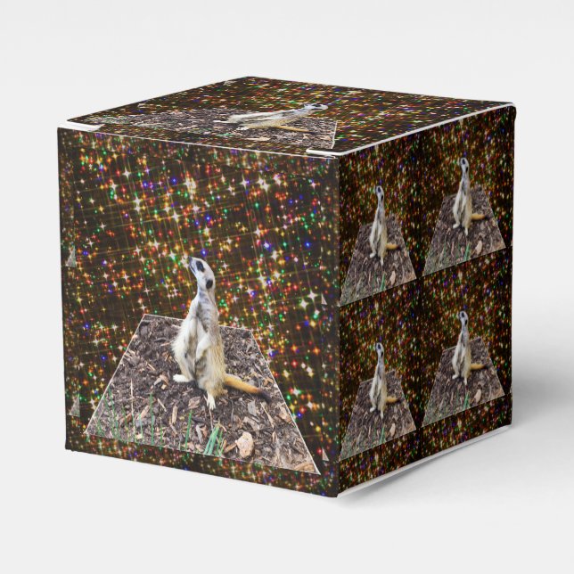 Meerkat Twinkle Stars, Favor Boxes (Front Side)