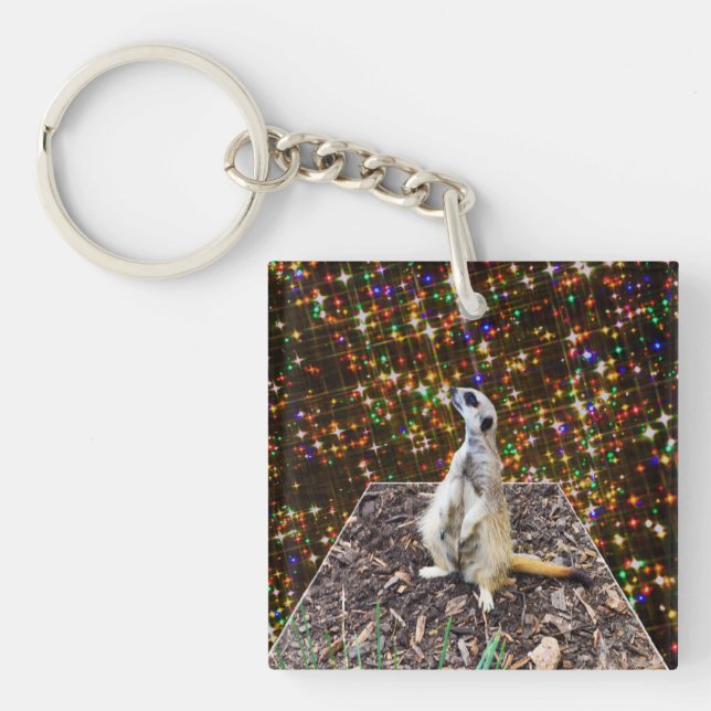 Meerkat Twinkle Stars, Keyring (Front)