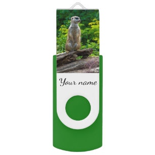 Meerkat USB swivel flash drive 8GB