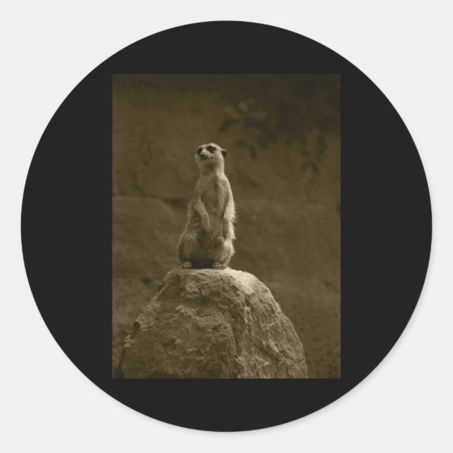 Meerkat Valencia Tint Vertical Sticker  (Front)