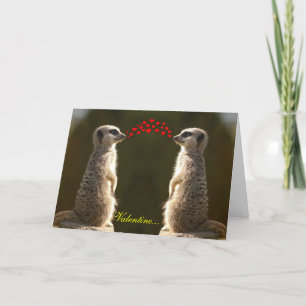 Meerkat Valentine Card 003