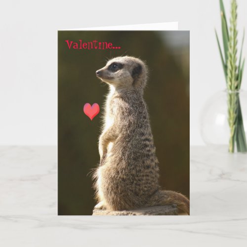 Meerkat Valentine Card 005