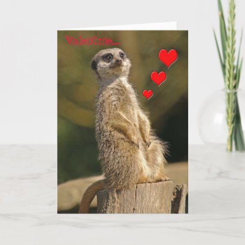 Meerkat Valentine Card 006