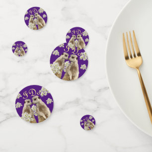 Meerkat Wedding Day, Confetti