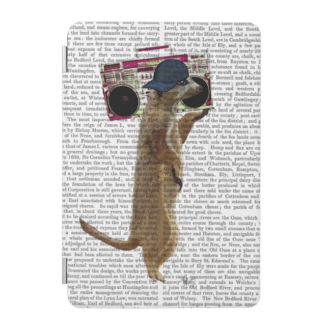 Meerkat with Boom Box Ghetto Blaster 2 iPad Mini Cover (Front)