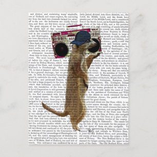Meerkat with Boom Box Ghetto Blaster 2 Postcard