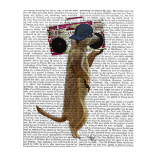 Meerkat with Boom Box Ghetto Blaster Acrylic Print