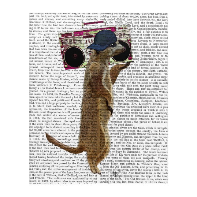 Meerkat with Boom Box Ghetto Blaster Acrylic Print (Front)