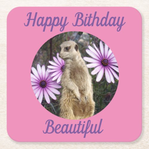 Meerkat With Daisies Paper Birthday Coasters