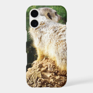 Meerkat With High Views, iPhone 17 Case