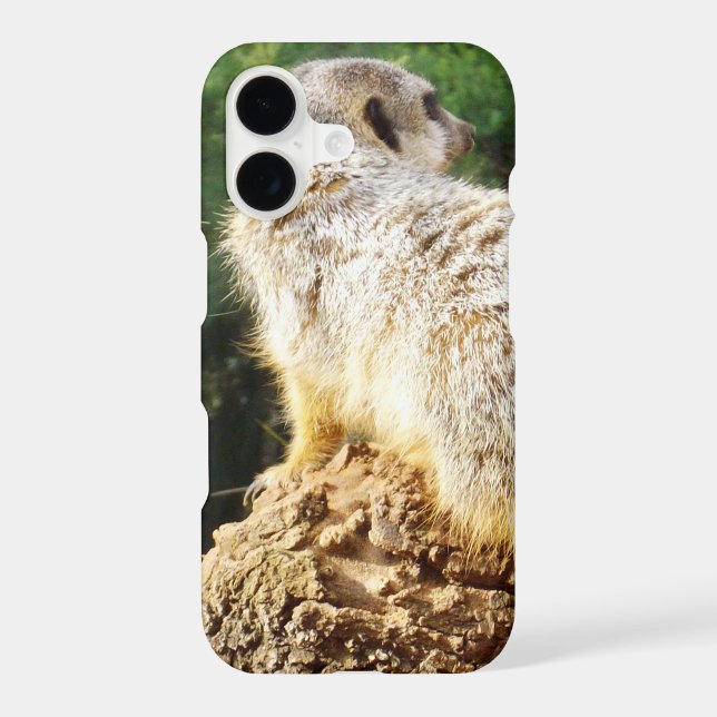 Meerkat With High Views, Case-Mate iPhone Case (Back)