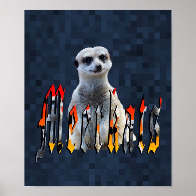 Meerkat With Meerkats Logo, Poster (Front)