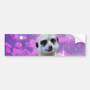 Meerkat With Sparkle, Bumper Sticker