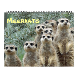 Meerkats 001 calendar