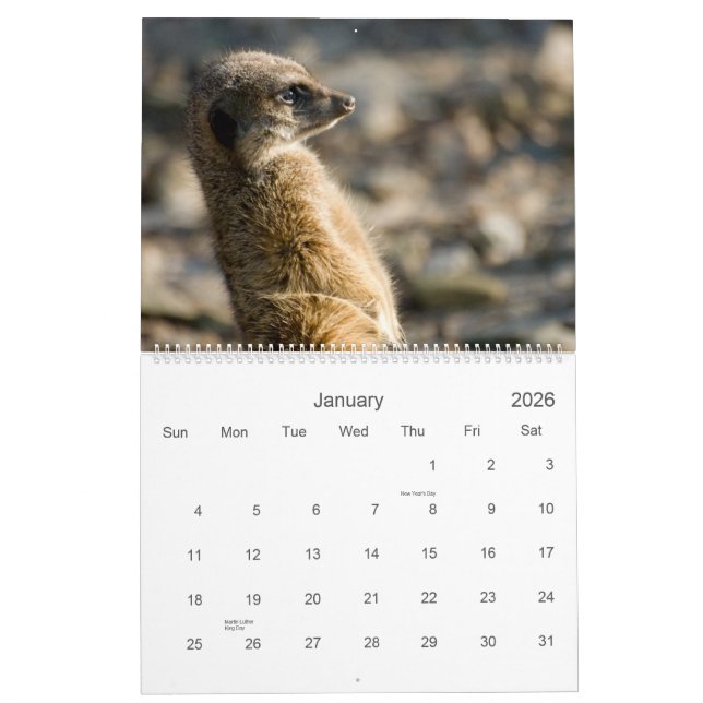 Meerkats 2010 Calendar (Jan 2026)