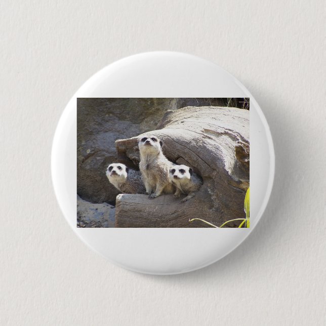 Meerkats Button (Front)