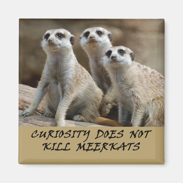 Meerkats fridge magnet (Front)