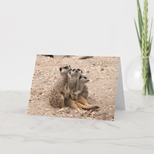 Meerkats In A Huddle Greeting Card