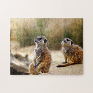 Meerkats. Jigsaw Puzzle