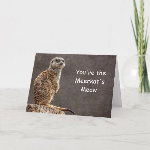 Meerkats Meow Birthday Card