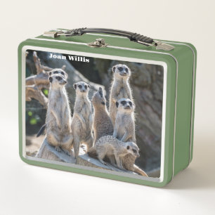 Meerkats metal lunch box