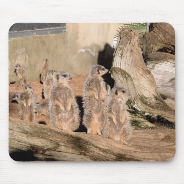 Meerkats Mouse Pad (Front)