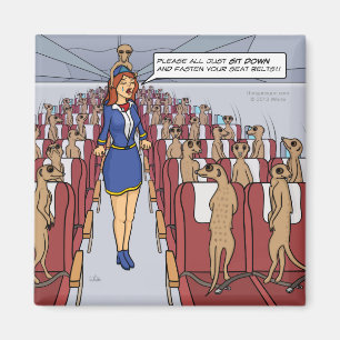 Meerkats on a Plane Magnet