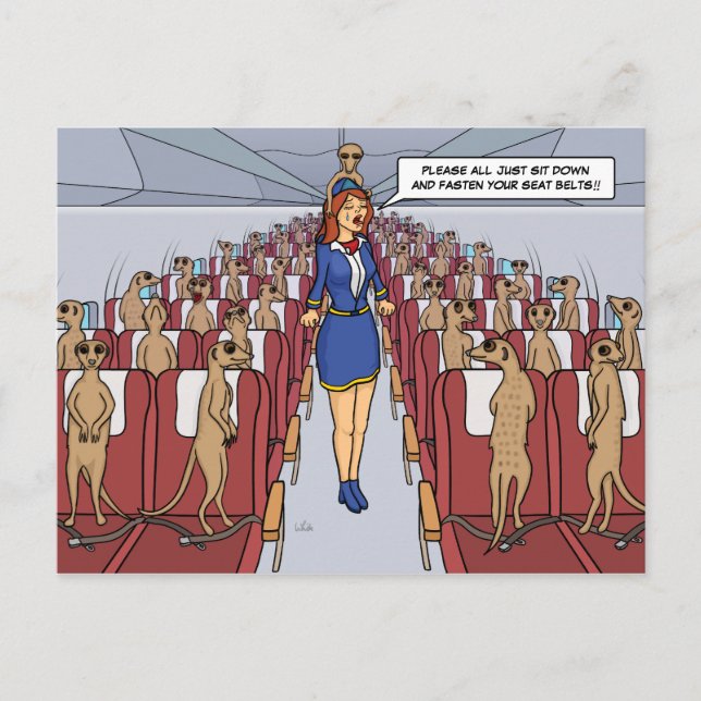 Meerkats on a Plane Postcard (Front)