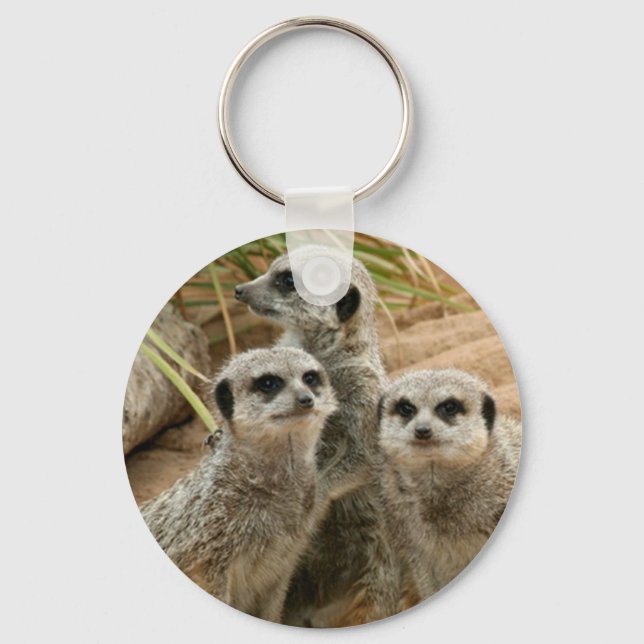 Meerkats on the lookout keychain (Front)