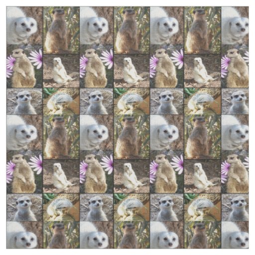 Meerkats Photo Collage Combed Cotton Material Fabric
