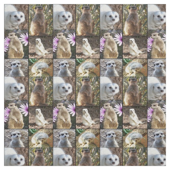 Meerkats Photo Collage Combed Cotton Material Fabric (Swatch)