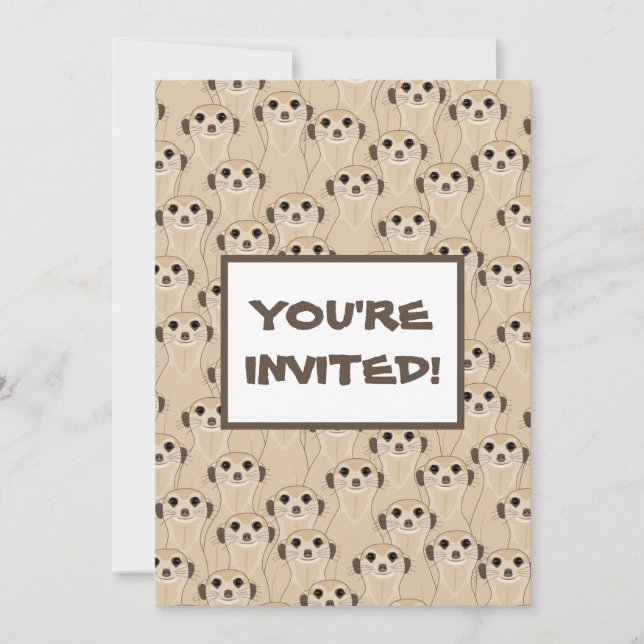 Meerkats - Suricata (Front)