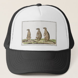 Meerkats Trucker Hat