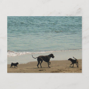 Meet & Greet Postcard