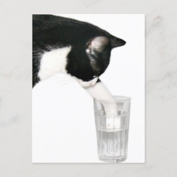 Meet Me For Drinks Postcard by deemac1 at Zazzle