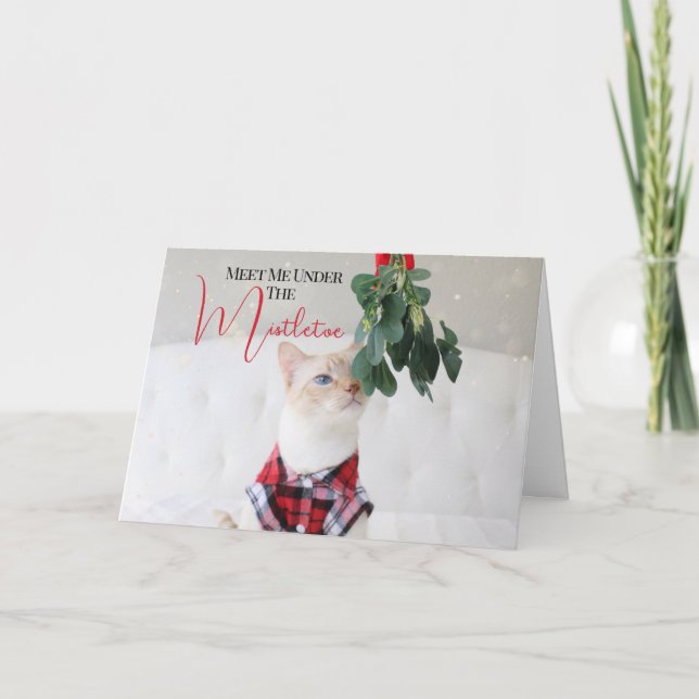 Meet Me Under The Mistletoe Cute Cat Christmas Card (Front)